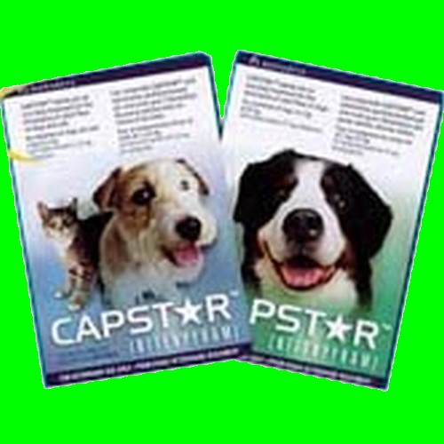 CAPSTAR 57 MG b/6 cpr LILLY CAPSTAR 57 MG b/6 cpr LILLY